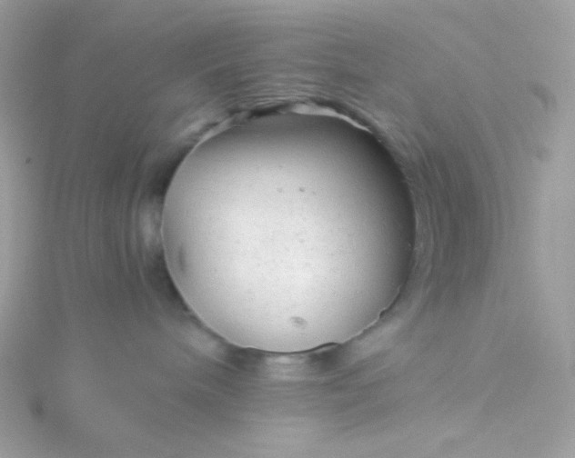 X0000115820240200911271144