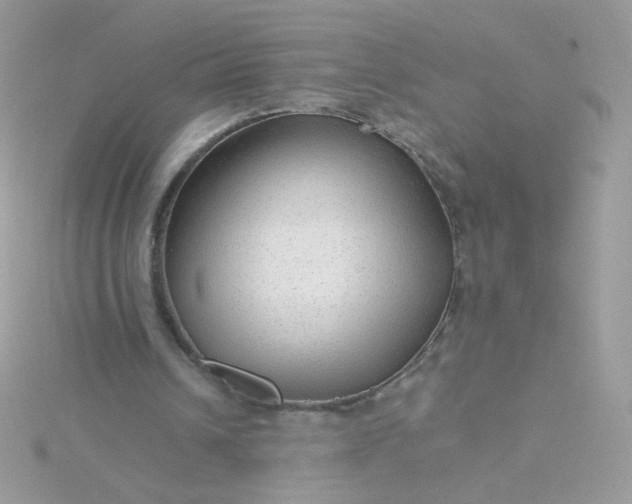 X0000115820242200911271143