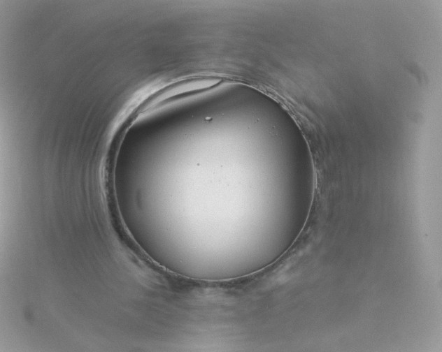 X0000115820244200911271143