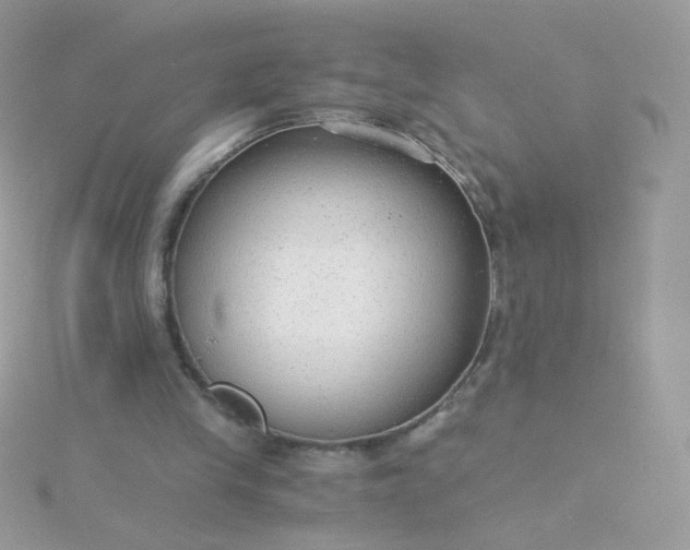 X0000115820245200911271144