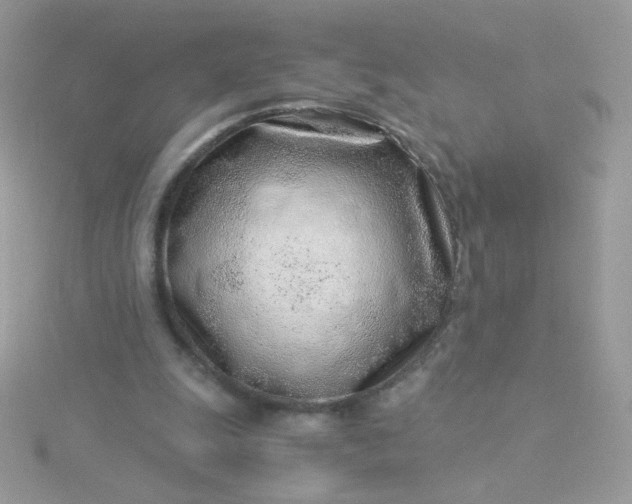 X0000115820247200911271144