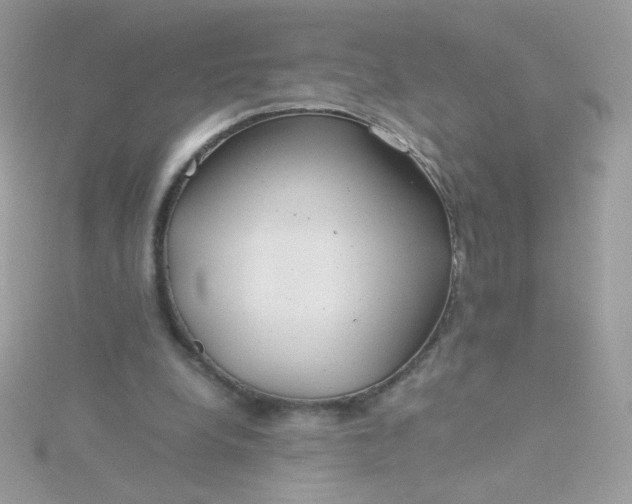 X0000115820248200911271144