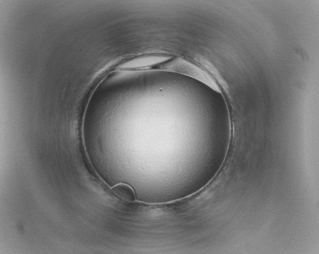 X0000115820249200911271144