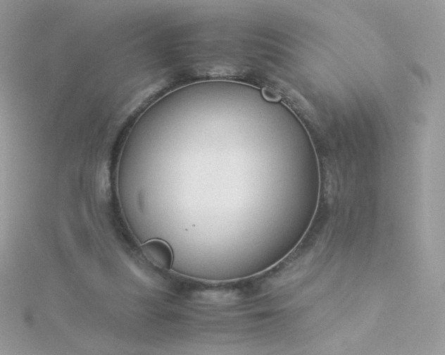 X0000115820251200911271144