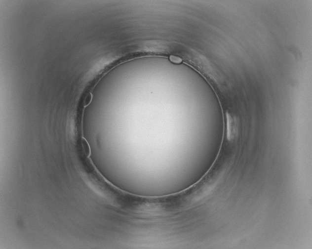 X0000115820252200911271144