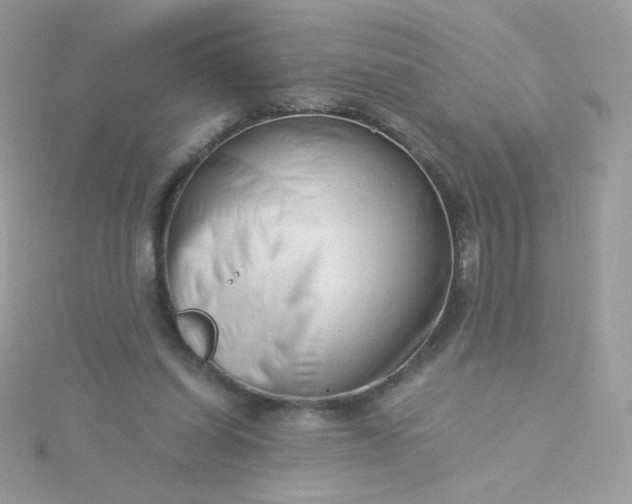 X0000115820254200911271144