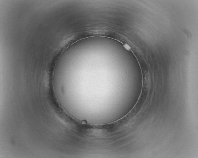 X0000115820255200911271144