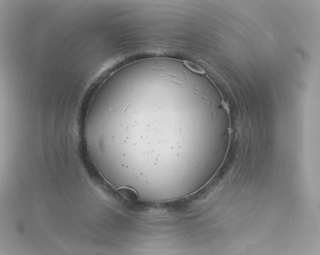 X0000115820256200911271144