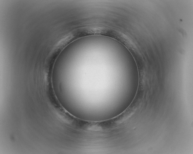 X0000115820258200911271144