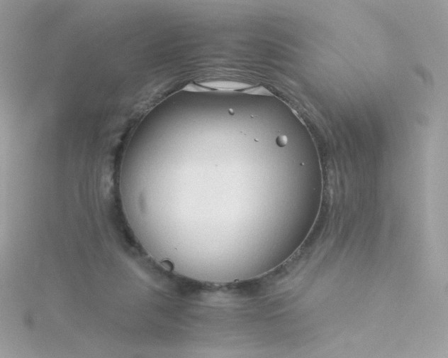 X0000115820259200911271144