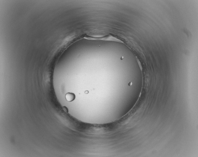 X0000115820260200911271144