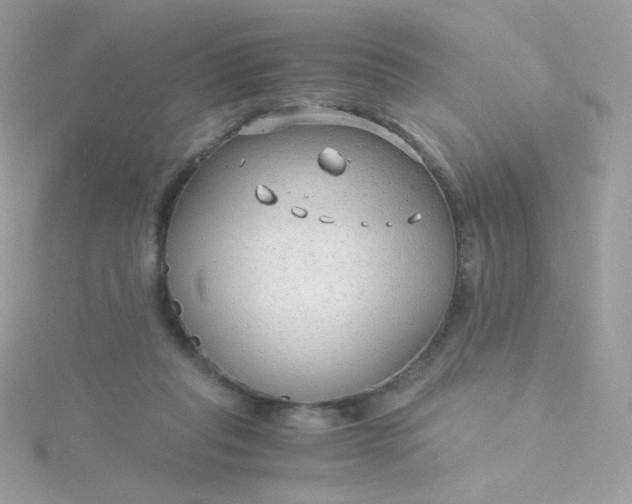 X0000115820261200911271144