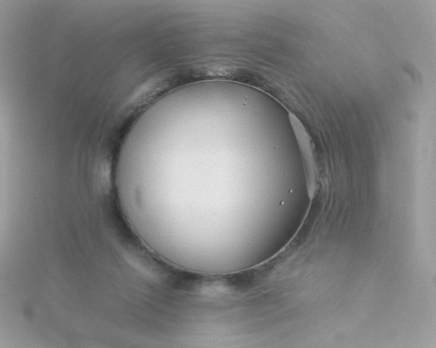 X0000115820262200911271144