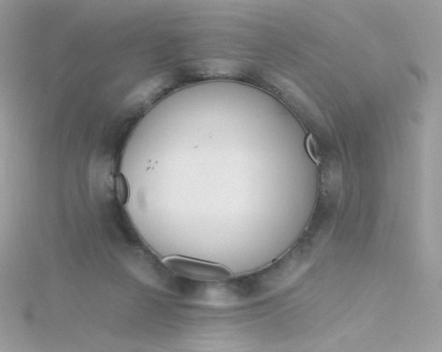 X0000115820264200911271144