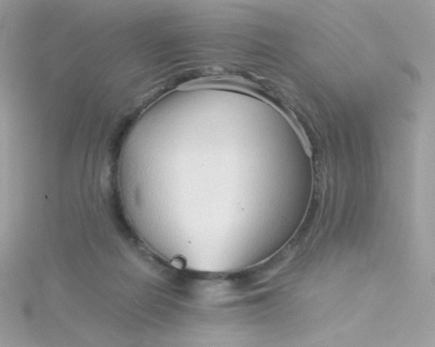 X0000115820266200911271144