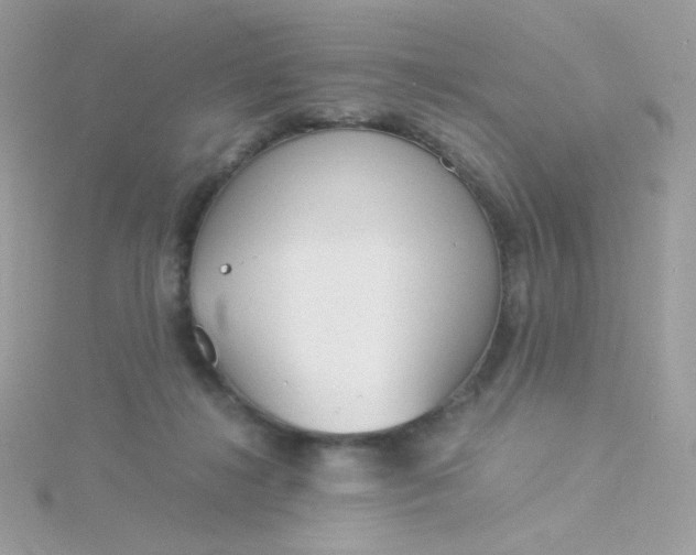 X0000115820268200911271144