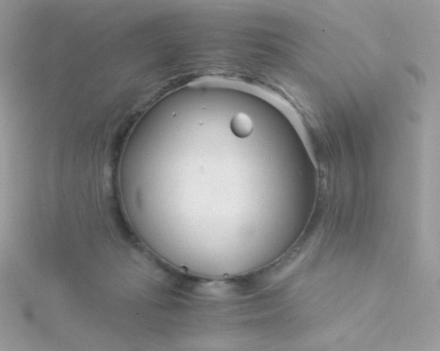 X0000115820269200911271144