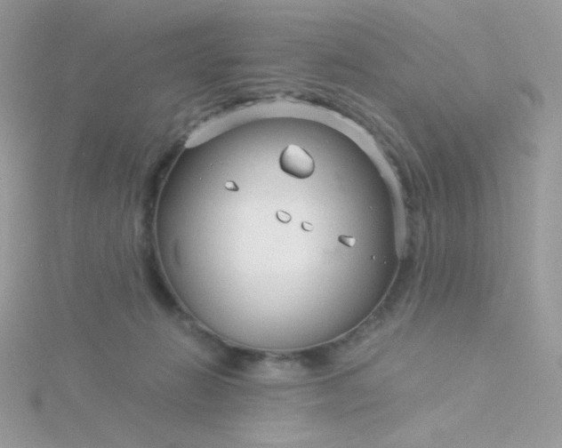 X0000115820270200911271144