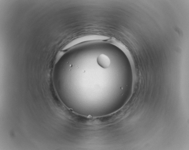 X0000115820271200911271144