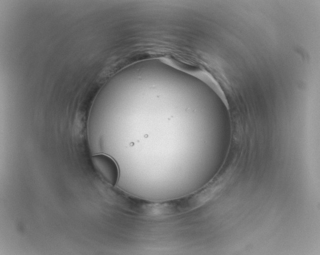 X0000115820273200911271144