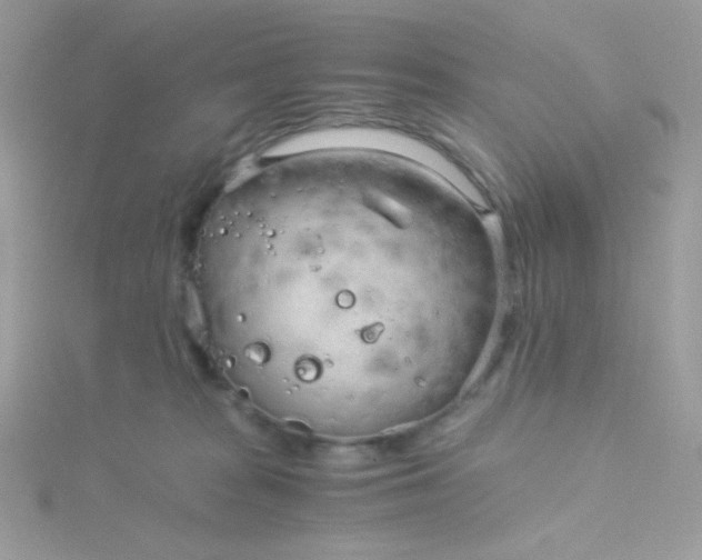 X0000115820277200911271144