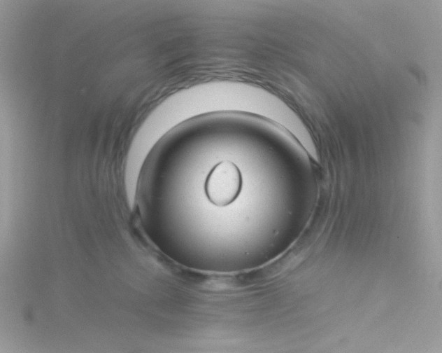 X0000115820280200911271144