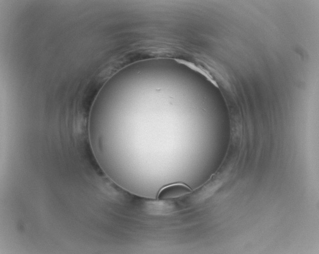 X0000115820281200911271144