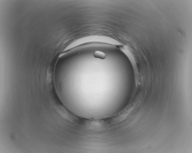 X0000115820282200911271144