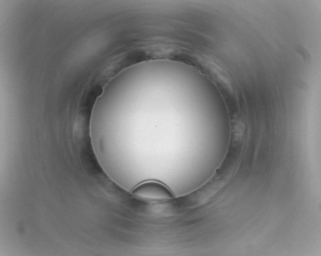 X0000115820283200911271144