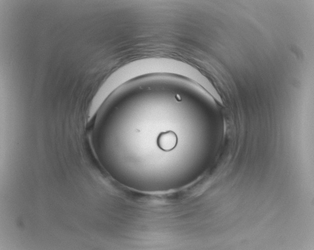 X0000115820284200911271144