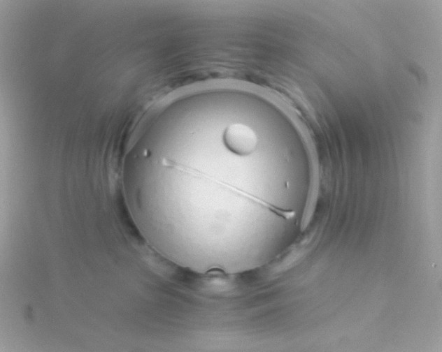 X0000115820285200911271144