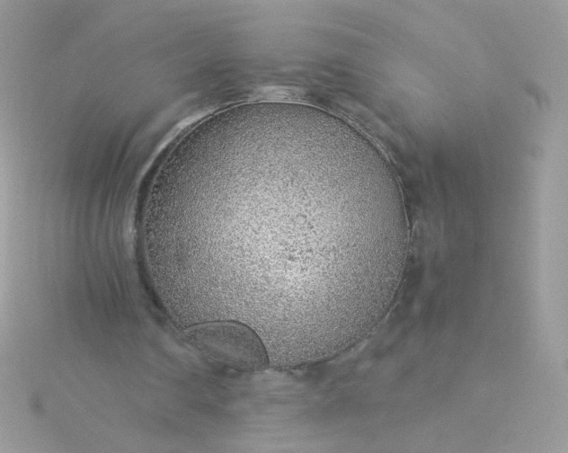 X0000115820290200911271143