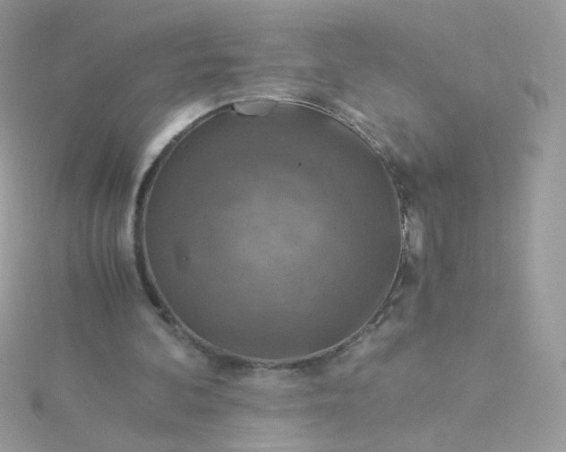 X0000115820292200911271143