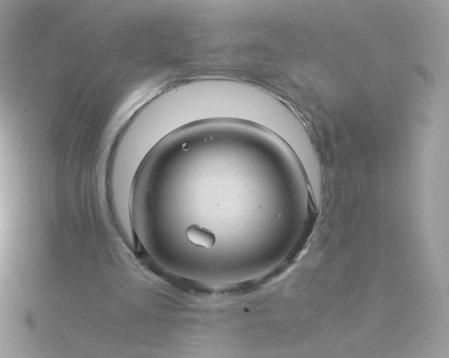 X0000115820293200911271143