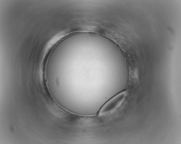 X0000115820294200911271143