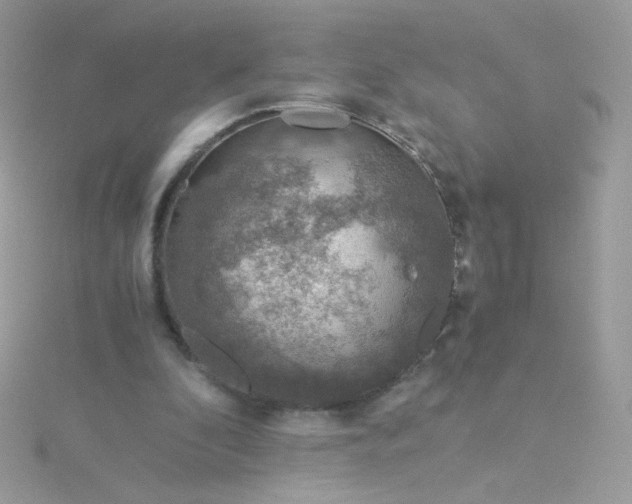 X0000115820296200911271143