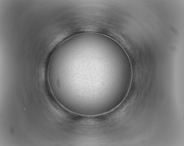 X0000115820299200911271143