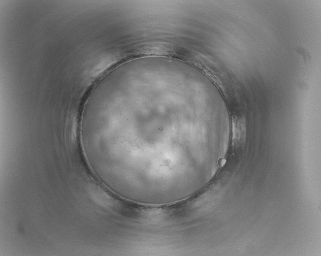 X0000115820301200911271143