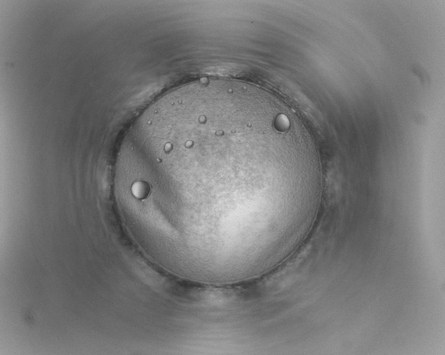 X0000115820305200911271143