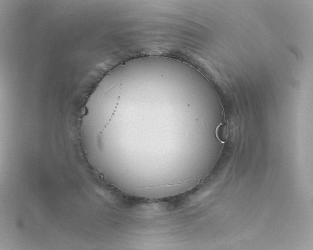 X0000115820307200911271143