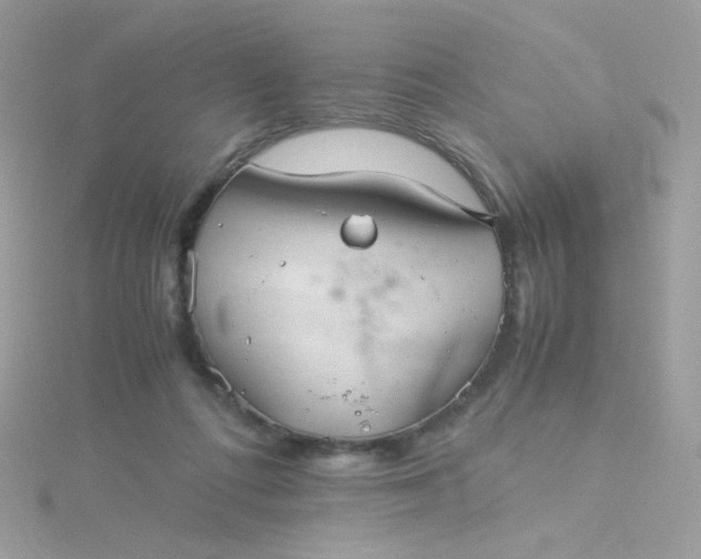 X0000115820312200911271143