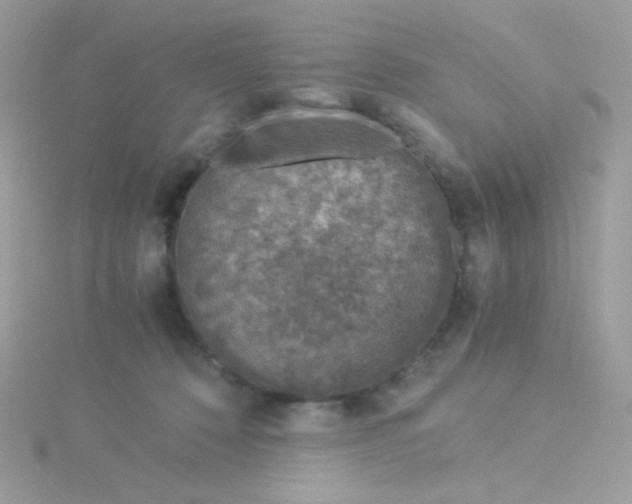 X0000115820320200911271143