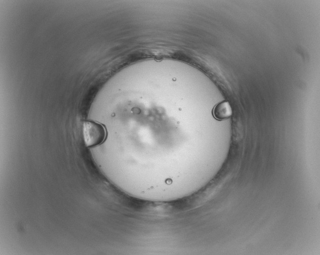 X0000115820321200911271143