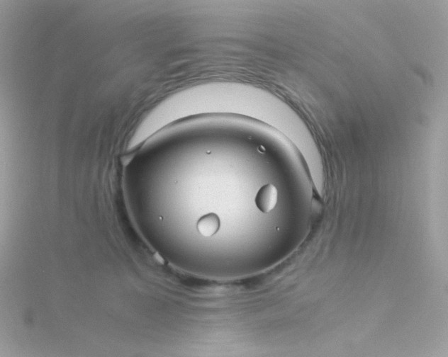 X0000115820323200911271143