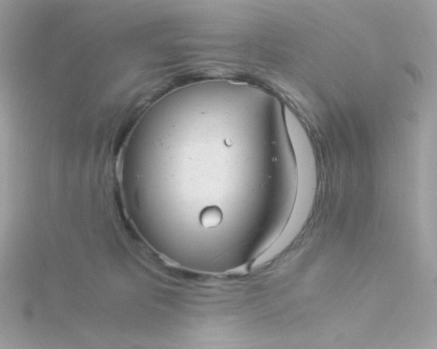 X0000115820325200911271143