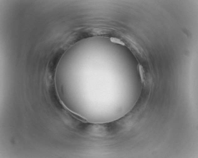 X0000115820327200911271143