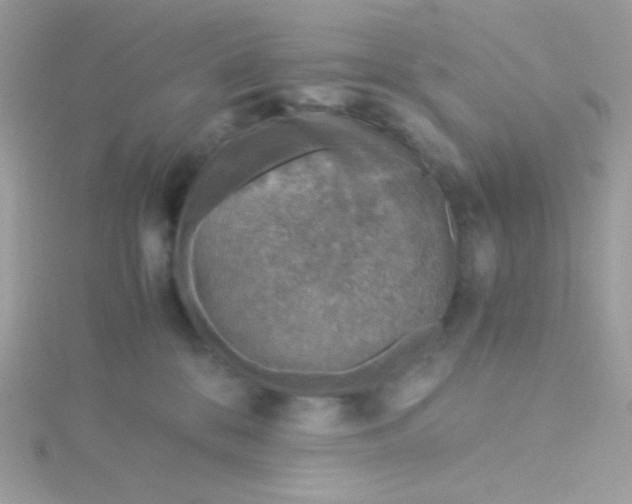 X0000115820328200911271143