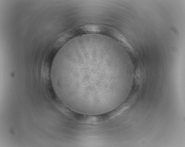 X0000115820330200911271143