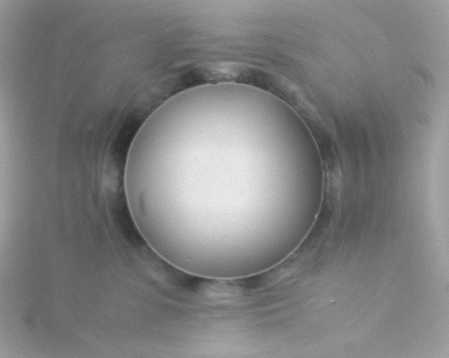 X0000115820331200911271143