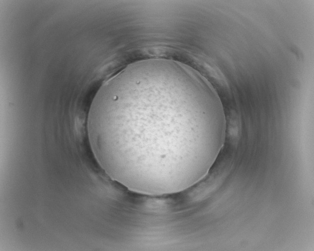 X0000115820332200911271143